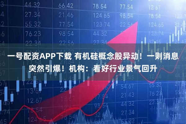 一号配资APP下载 有机硅概念股异动！一则消息突然引爆！机构：看好行业景气回升